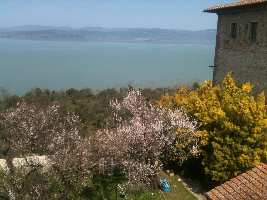 Ascanio Appartamenti Castiglione del Lago Exterior foto